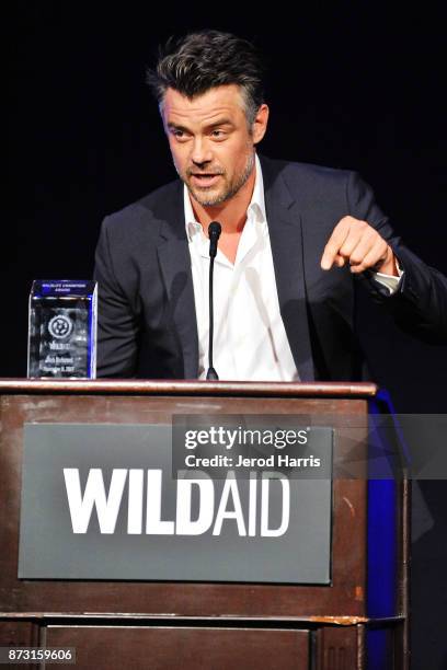 Josh Duhamel on stage at 'Evening With WildAid' at the Beverly Wilshire Four Seasons Hotel on November 11, 2017 in Beverly Hills, California.