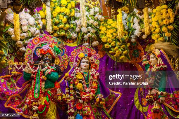 radha syamasundar am tempel auf radhastami. vrindavan, indien - radha stock-fotos und bilder