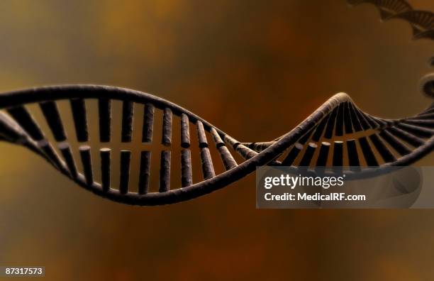 Dna Relistic Realistic Dna Photos and Premium High Res Pictures - Getty Images