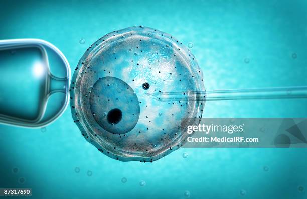 stockillustraties, clipart, cartoons en iconen met ivf - artificial insemination