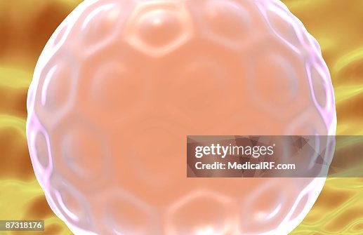 Blastosphere Blastosphere