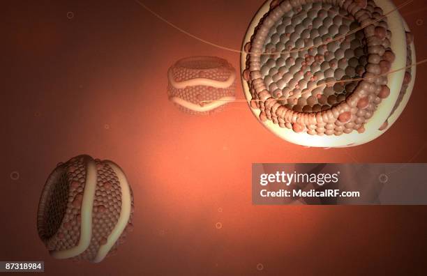 illustrazioni stock, clip art, cartoni animati e icone di tendenza di low density lipoproteins - lipoproteina a bassa densità