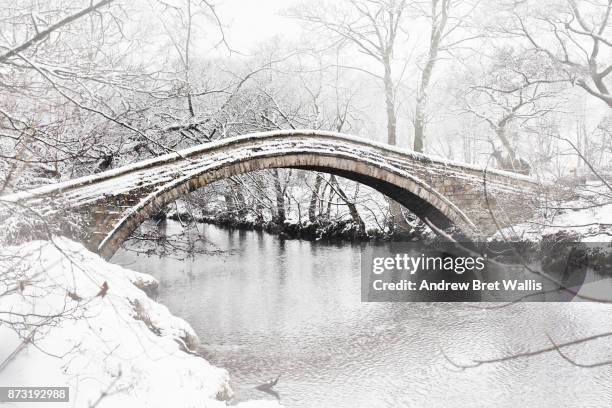 traditional stone packhorse bridge spanning a river in winter - packhorse bridge bildbanksfoton och bilder