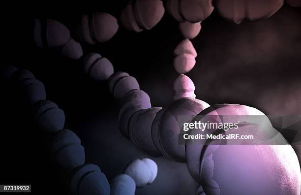 stockillustraties, clipart, cartoons en iconen met streptococci - streptococcus pyogenes