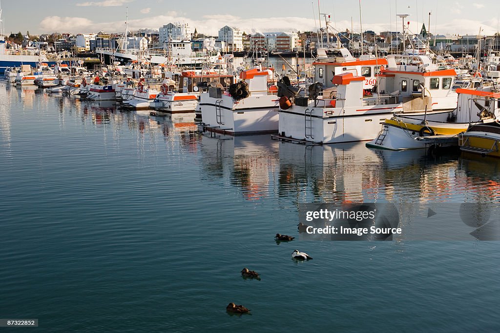 Fishing boats near reykjavik