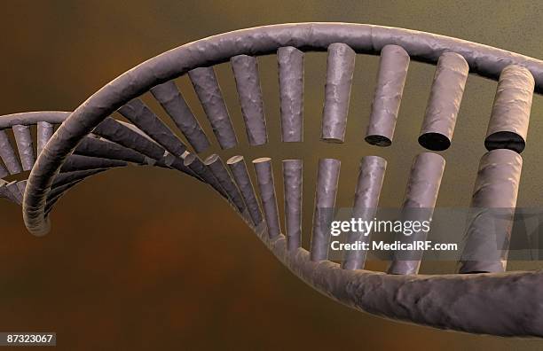 Dna Relistic Realistic Dna Photos and Premium High Res Pictures - Getty Images