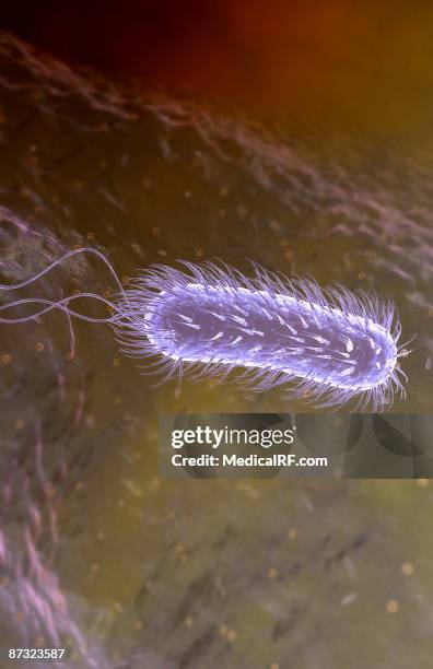 stockillustraties, clipart, cartoons en iconen met helicobacter pylori - helicobacter pylori