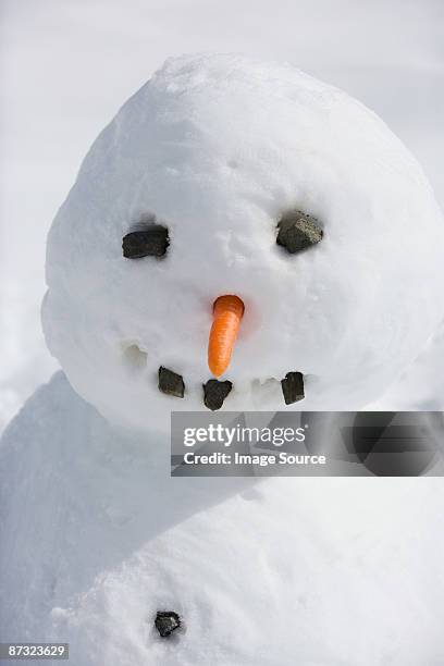 snowman - snowman photos et images de collection