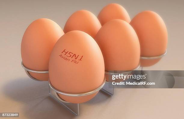 eggs branded with 'avian flu' - bird flu stock illustrations