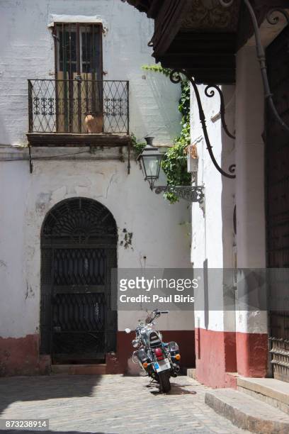 spanish cities, typical spanish streets in seville, spain - santa cruz sevilha - fotografias e filmes do acervo