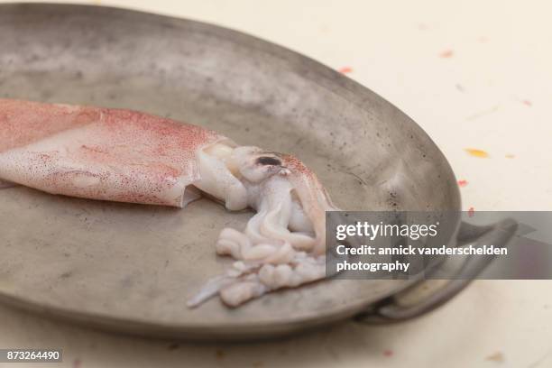 european squid or common squid (loligo vulgaris). - calamari stock pictures, royalty-free photos & images