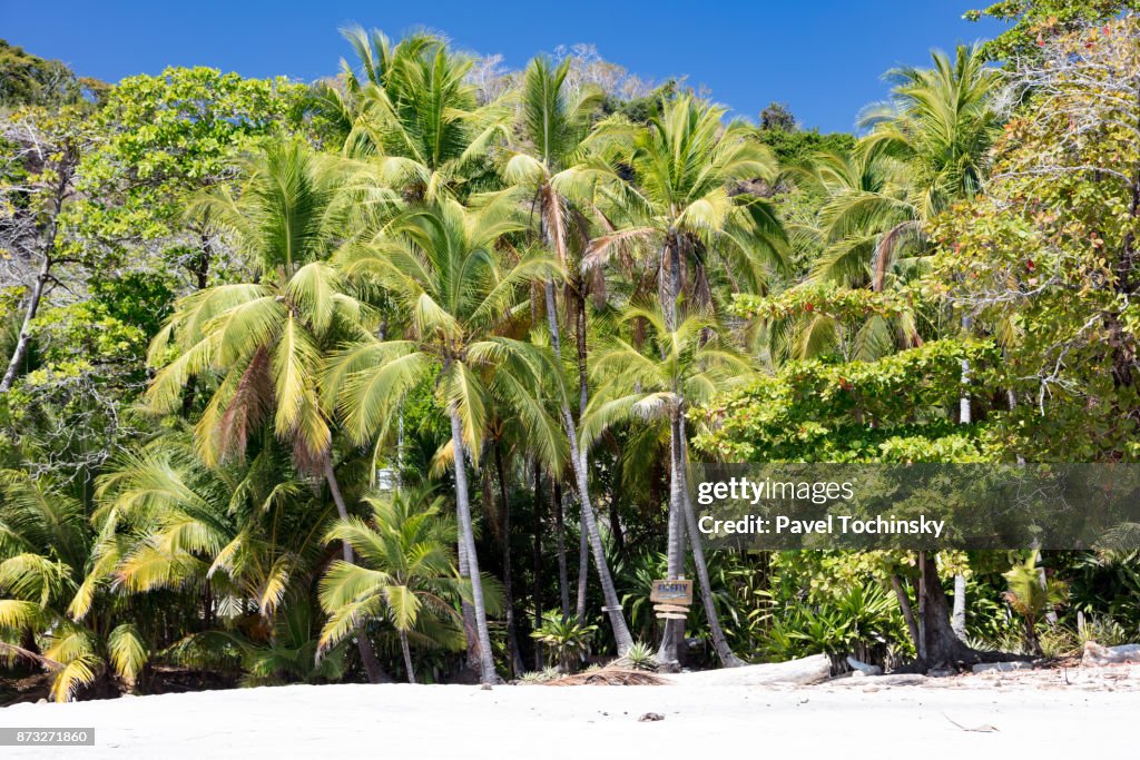 Tropical paradise in Playa Montezuma on Nicoya Peninsula, Costa Rica
