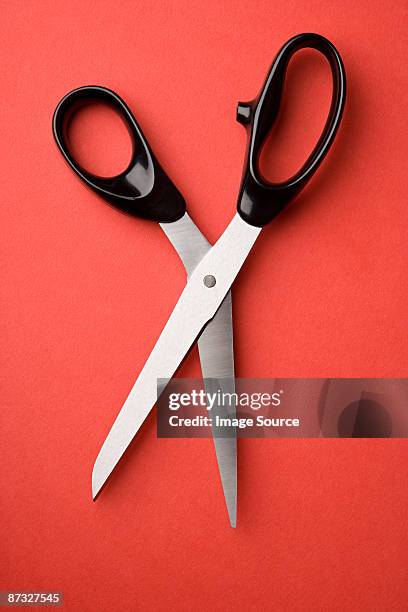 scissors - tijeras fotografías e imágenes de stock