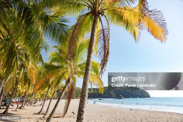 idyllic playa samara on the nicoya peninsula, costa rica - provinz puntarenas stock-fotos und bilder