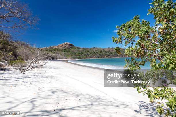 playa conchal in the northern part of nicoya peninsula, costa rica - 尼科亞半島 個照片及圖片檔