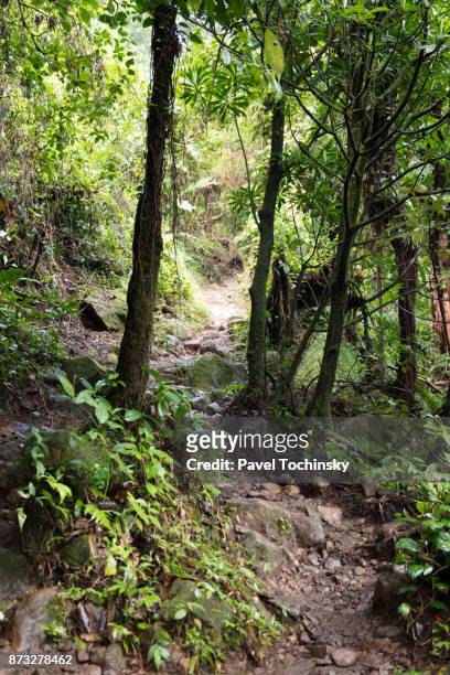path to rio celeste in tenorio volcano national park, costa rica - parque nacional volcán tenorio fotografías e imágenes de stock