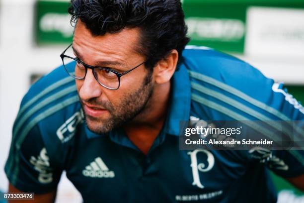 Alberto Valentim, headcoach of Palmeiras in action during the match between Palmeiras and Flamengo for the Brasileirao Series A 2017 at Allianz...