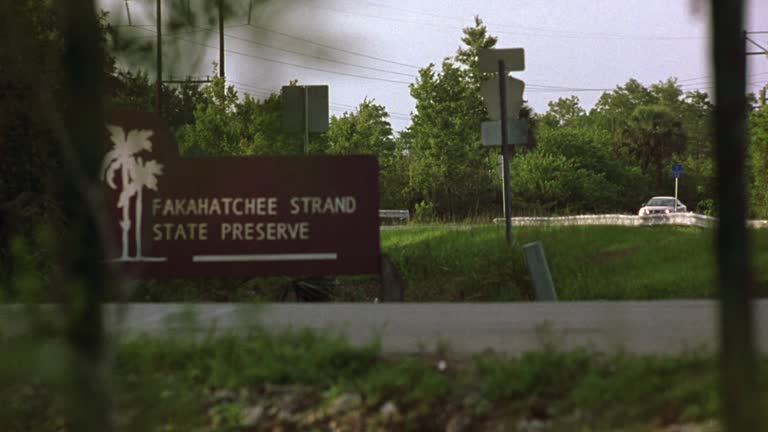 Strands State Rd 42 Fakahatchee Strand Preserve State Park Stock Videos, Footage, & 4K ...