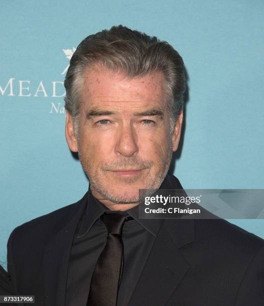 Pierce Brosnan attends the Red Carpet Festival Gala at CIA Copia during the 7th Annual Napa Valley Film Festival on November 11, 2017 in Napa,...
