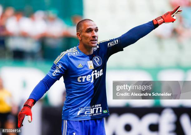 Fernando Prass of Palmeiras in action during the match between Palmeiras and Flamengo for the Brasileirao Series A 2017 at Allianz Parque Stadium on...