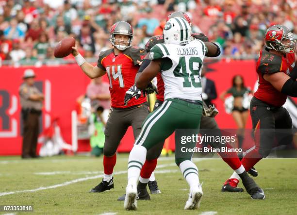 Quarterback Ryan Fitzpatrick of the Tampa Bay Buccaneers gets protection from offensive tackle Demar Dotson of the Tampa Bay Buccaneers from outside...