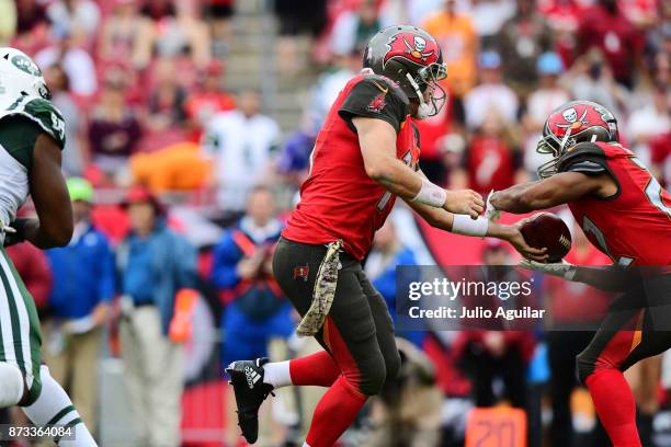 Quarterback Ryan Fitzpatrick of the Tampa Bay Buccaneers hands the ball off to running back Doug Martin against the New York Jets in the fourth...