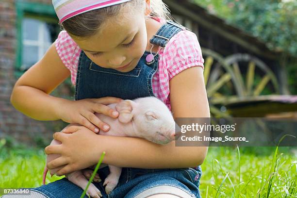 una niña sostiene un cerdito - cerdo fotografías e imágenes de stock