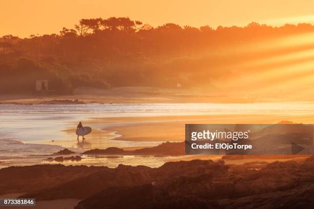 surfer in sunset in "la barra" beach, punta del este, uruguay - punta del este stock pictures, royalty-free photos & images
