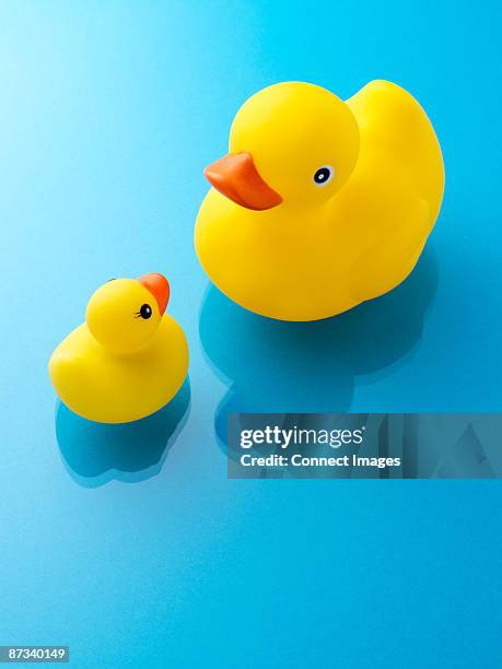 rubber ducks - badeend stockfoto's en -beelden