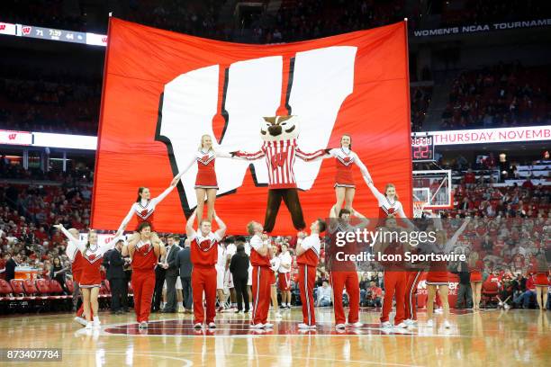 Wisconsin cheerleaders and mascot Bucky Badger during an NCAA basketball game between the University of Wisconsin Badgers and the Yale University...