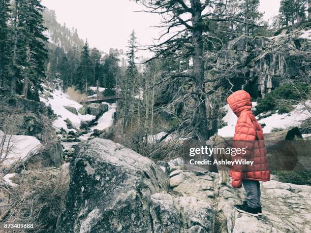 child hiking in his father's jacket during a snow storm with his husky - summit love courage stock pictures, royalty-free photos & images
