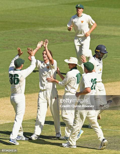 Gabe Bell of Tasmania is congratulated by team mates after getting the wicket of Glenn Maxwell of Victoria during day one of the Sheffield Shield...
