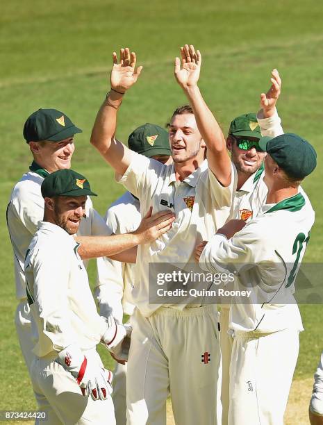 Gabe Bell of Tasmania is congratulated by team mates after getting the wicket of Peter Handscomb of Victoria during day one of the Sheffield Shield...