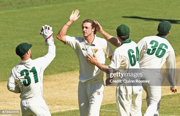 Gabe Bell of Tasmania is congratulated by team mates after getting the wicket of Peter Handscomb of Victoria during day one of the Sheffield Shield...