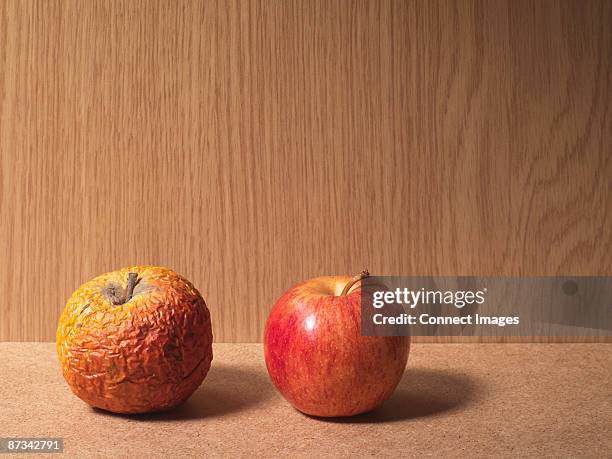 a rotten apple and a ripe apple - apple rot stock pictures, royalty-free photos & images