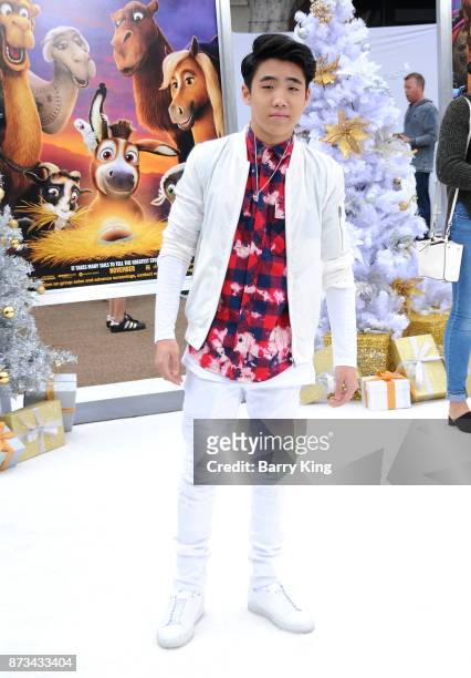 Actor Lance Lim attends the premiere of Columbia Pictures' 'The Star' at Regency Village Theatre on November 12, 2017 in Westwood, California.
