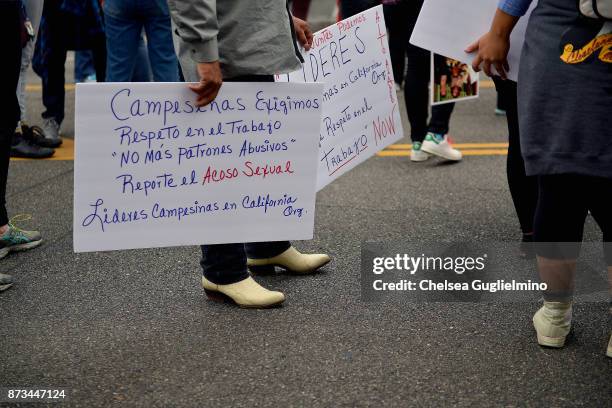 Participants seen at Take Back The Workplace March and #MeToo Survivors March & Rally on November 12, 2017 in Hollywood, California.