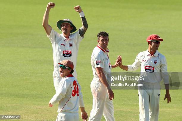 Kane Richardson, Travis Head and Daniel Worrall of South Australia look to the Lillee Marsh stand after the dismissal of Mitchell Marsh of Western...