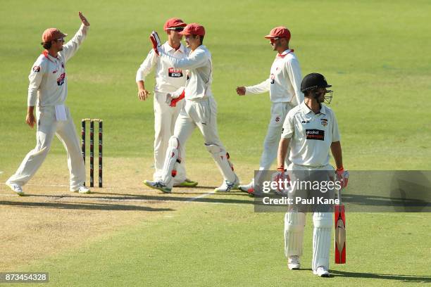 Travis Head and Alex Carey of South Australia celebrate the wicket of Mitchell Marsh of Western Australia during day one of the Sheffield Shield...