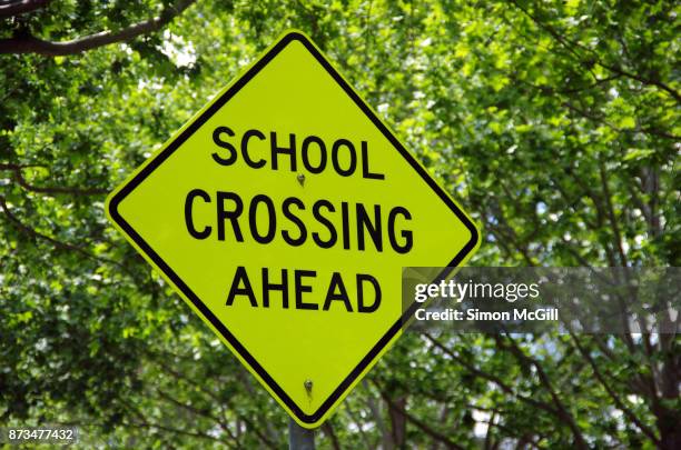 school crossing ahead road sign - segnale di direzione obbligatoria foto e immagini stock