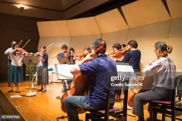 musician rehearsing before the concert - violin family stock pictures, royalty-free photos & images