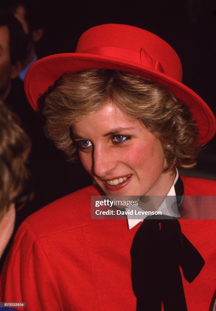 Princess Diana Archive - David Levenson