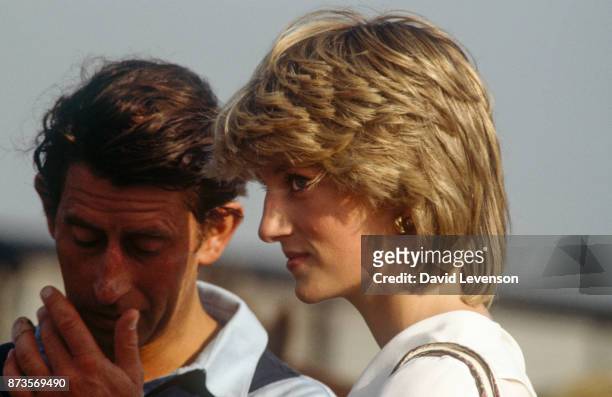 Prince Charles and Princess Diana at a polo match in Cowdray Park in the summer of 1983