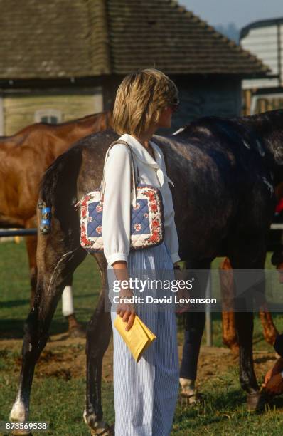 Princess Diana at a polo match in Cowdray Park in the summer of 1983