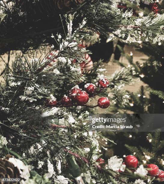 snowy branch and  berries - evergreen plant fotografías e imágenes de stock