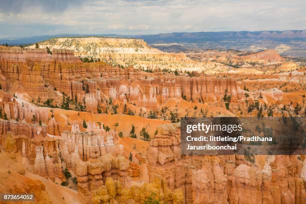 bryce canyon national park, summer - red rocks stock pictures, royalty-free photos & images