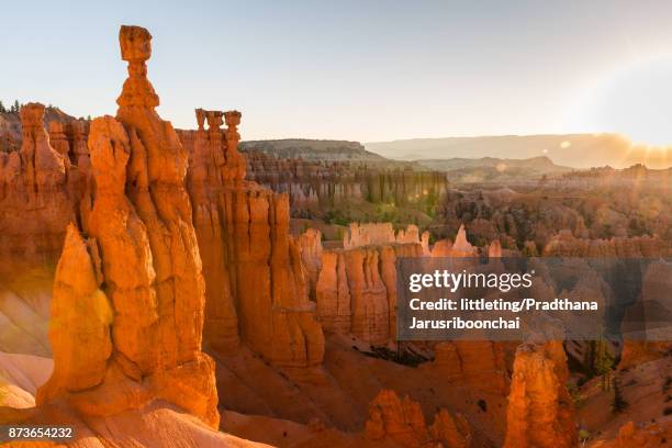 thor's hammer and beautiful sunrise at bryce canyon national park, summer - thor's hammer stock pictures, royalty-free photos & images