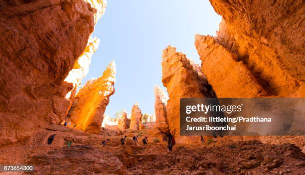 view from below on "wall street" area bryce canyon national park, summer - thor's hammer stock pictures, royalty-free photos & images