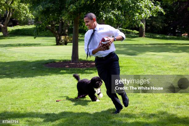 In this handout from the The White House, U.S. President Barack Obama plays football with the family dog Bo on the South Lawn of the White House May...