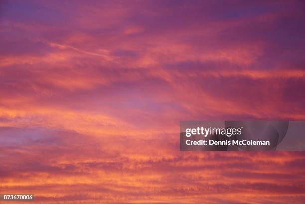 pink clouds - dennis mccoleman imagens e fotografias de stock